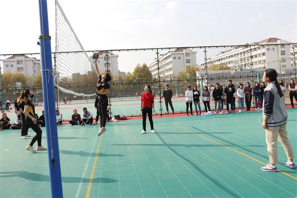 11月14日  女子排球比赛  张舒婷 秦润东 (11).JPG 11月14日  女子排球比赛  张舒婷 秦润东 (11).JPG